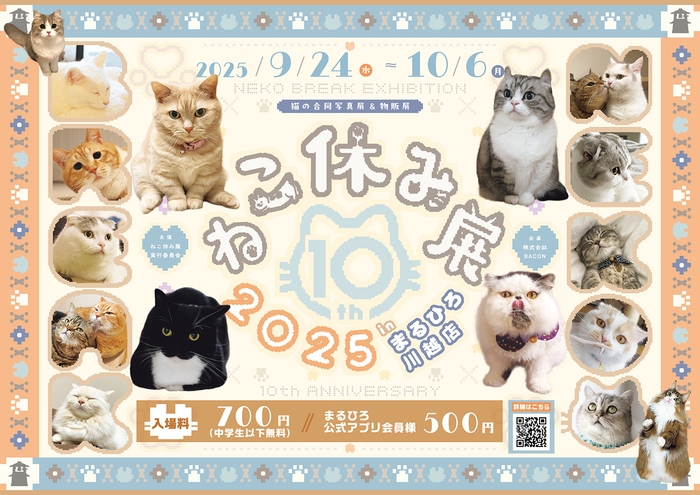 キービジュアル(横)