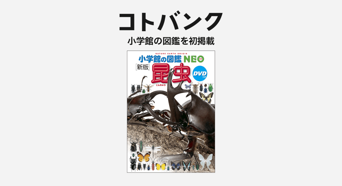 9ejR7zOmnO2jNzeR2LZr.png