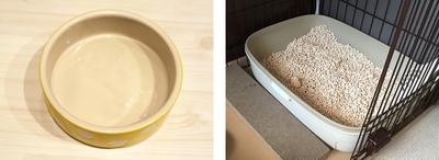 9f2SdPZEtGYlnEPwCEK0.jpg?w=940&h=940