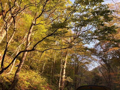 9fgi7GJgYsI7HQqWjwBL.jpg?w=940&h=940