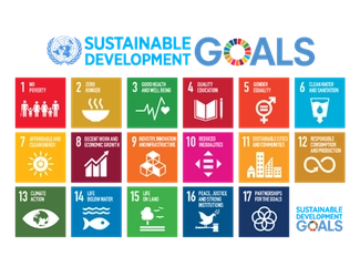 環境配慮型パッケージドリンクと 映画『五等分の花嫁』の コラボ商品が6月10日（金）より発売開始！