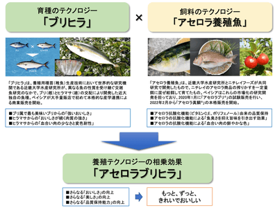 9izAomu2bPaMkdohM35T.png?w=940&h=940