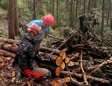  山林現場において、インカムや声かけで指導を受けながら進める作業風景