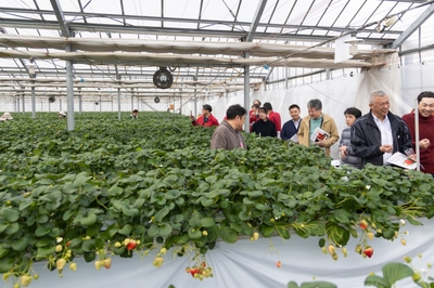 9jg19E3BMhXZ9CjmnrOE.jpg?w=940&h=940