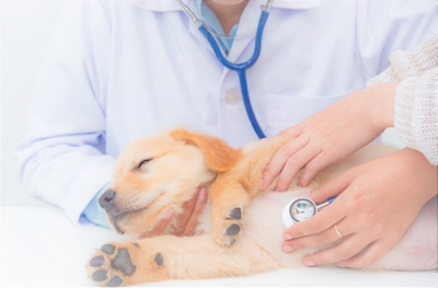 9kQBgcj0jmuhviwOrRcZ.jpeg?w=940&h=940