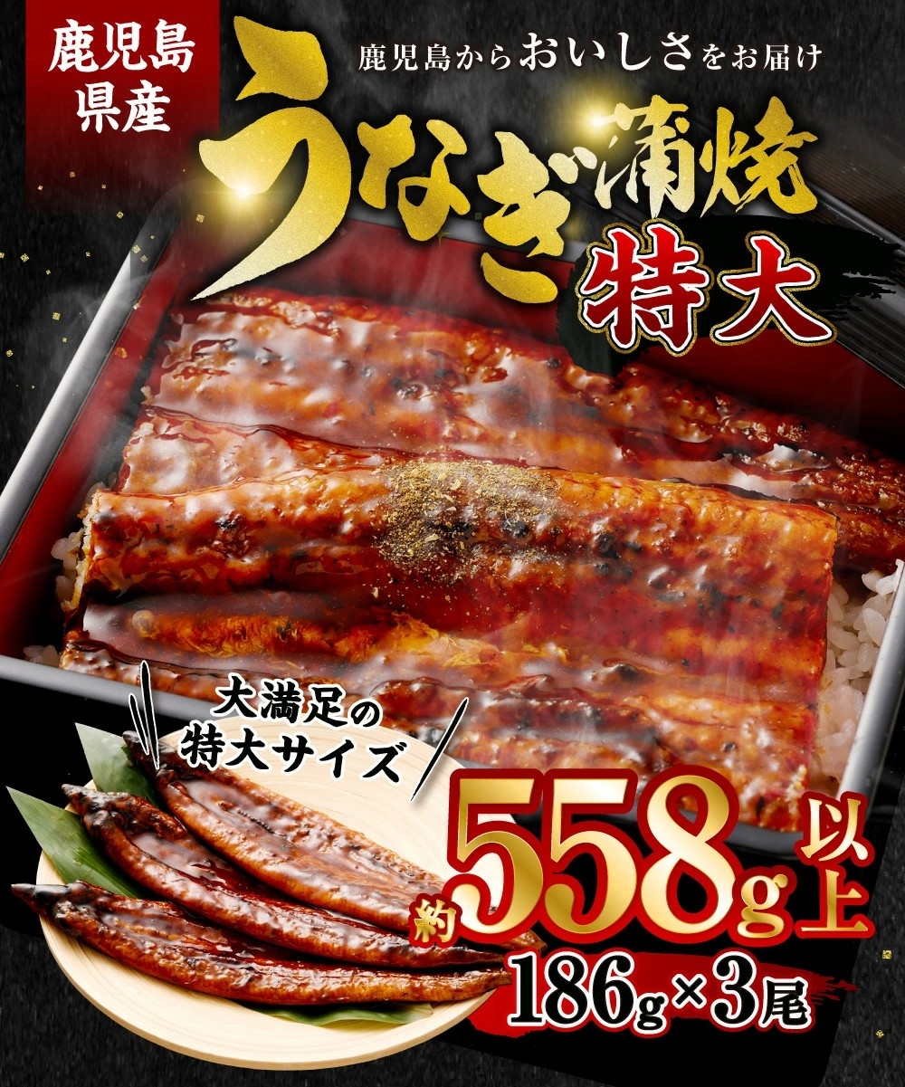大特価　数量限定　鹿児島県産　蒲焼６尾 数量限定 鹿児島県産うなぎ長蒲焼6尾 約100g×6尾 鰻 国産うなぎ