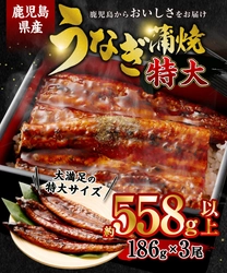 【鹿児島県薩摩川内市ふるさと納税】数量限定の極上グルメ！特大サイズうなぎ蒲焼3尾セットが登場！