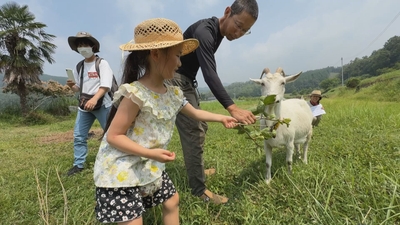 9km32r3Vnm4KIjBoNKTg.jpg?w=940&h=940