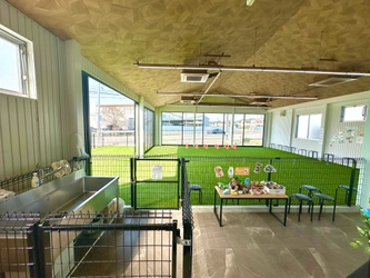 猛暑でも快適に！エアコン完備の室内ドッグラン「コルク」 夏の利用急増中！