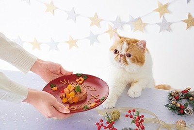 9pevlT5ApU7STaF6yOSj.jpg?w=940&h=940