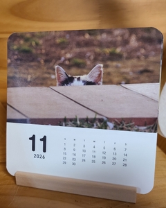 9qPWVeYCD1tAl9CszbIP.jpeg?w=940&h=940