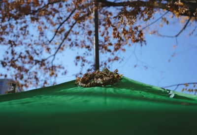 9raAJJediuPdHRt5TZVw.jpg?w=940&h=940