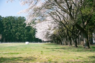 9s41Tmj5L4rJmynnWeo0.jpg?w=940&h=940