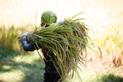 9sT3iLeyxisps3wikgwt.jpeg?w=940&h=940