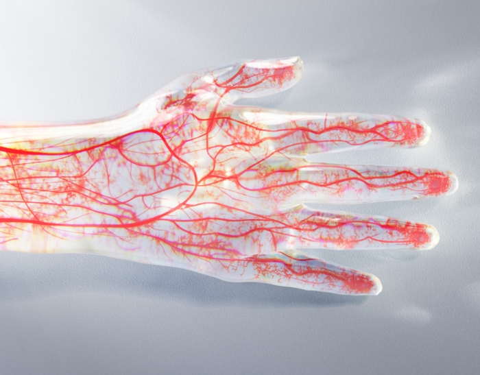 血行促進繊維 VITALTECH(R) イメージ(3)