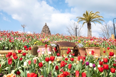 9tgQMoJsub34gR01jpFA.jpg?w=940&h=940