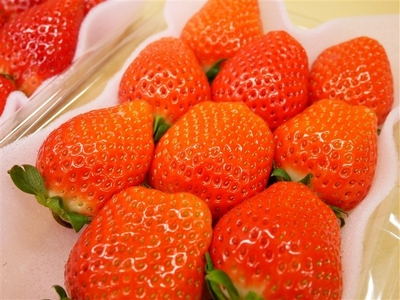 9uI16xHSHxqwDBs6gPSJ.jpg?w=940&h=940