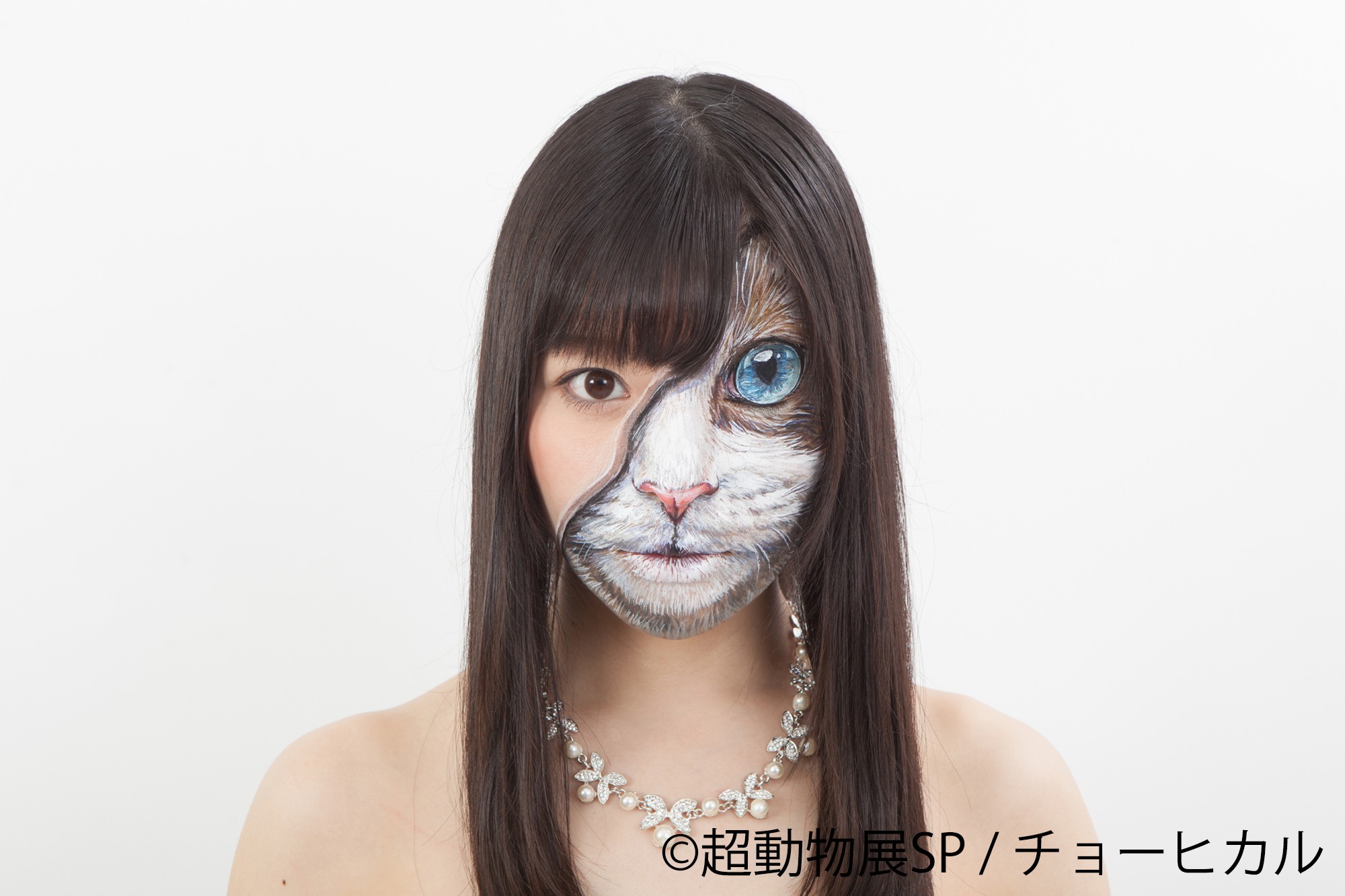 チョーヒカル「超動物展SP」を1/5～20に浅草橋で開催！ 大迫力、干支