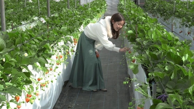 9w2QFqoSUp5CcstjkdWx.jpg?w=940&h=940