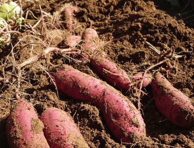 9w2wH6takqknWiaINIQd.png?w=940&h=940