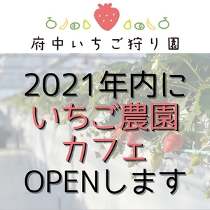 9yIUZOGAinQ25dArbGeH.jpg?w=940&h=940