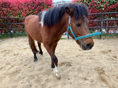 9yTL1JdMU6cxdPTdfmLQ.JPG?w=940&h=940