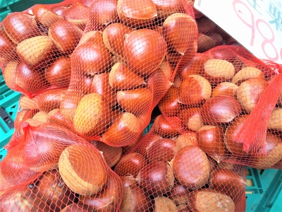 A02fpLRBWKkLH7Op122Q.jpg?w=940&h=940