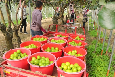 A13D8ITBUwmHVQUD6aGe.jpg?w=940&h=940