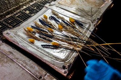 A3EHw9TjPKV8XCar3w29.jpg?w=940&h=940