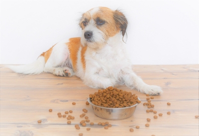 A4OMiGfzLJElgmk98gLq.jpeg?w=940&h=940