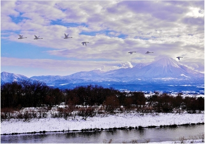 ＜フォトコンテスト２０２４一般部門金賞作品＞