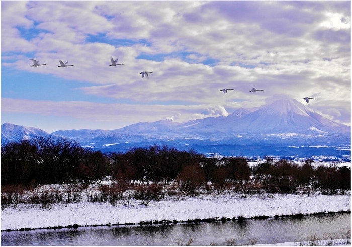 <フォトコンテスト2024一般部門金賞作品>