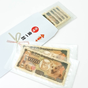 専用封筒に入れることも可能