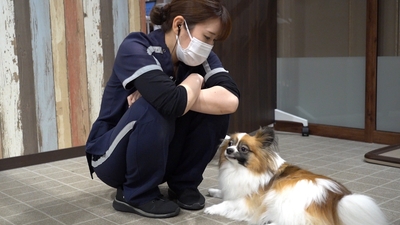 A6tRjdyHh5jeyRRwvCuu.jpg?w=940&h=940