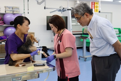「まきよるOne」で巻圧を確認する（左から）古本佳代・獣医保健看護学科教授、佐伯准教授、赤木教授