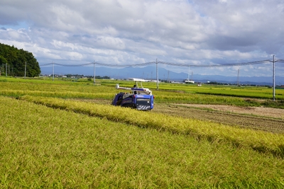 A7mxQ6SxXTtCMhUF9Xzp.JPG?w=940&h=940