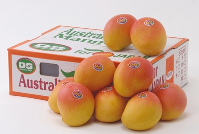 A8HKdnQnajfkw1tfKQRr.jpg?w=940&h=940