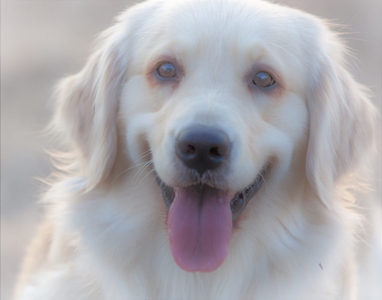 A8c7yzEWdQceYIxjBctM.jpeg?w=940&h=940