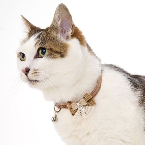 ナットキャット首輪