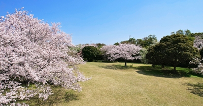 A8nCnKb9J4RYLKKoTTGX.jpg?w=940&h=940