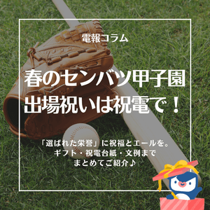 A9OR0ynMwbPCAo82kDUn.png?w=940&h=940