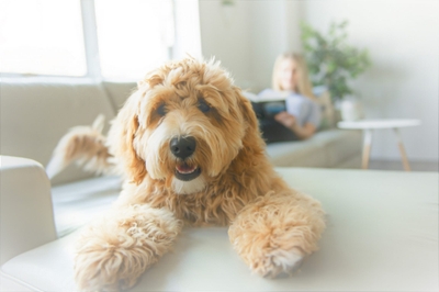 A9VOjrSdF7t1bdZEgJSU.jpeg?w=940&h=940