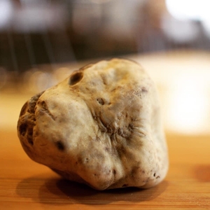 ABLZytu72b0334bRaUXe.jpeg?w=940&h=940