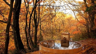 ACUoHoT2GDyTTxIYiEaX.jpg?w=940&h=940