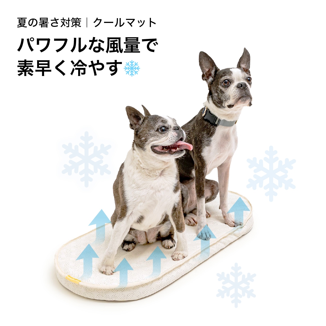 エアモンペット 素早く冷やす