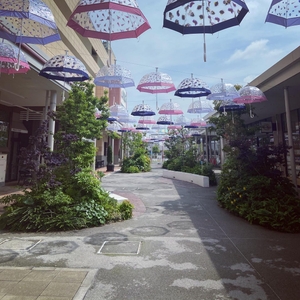 ADzjIQQvHiTbkHoyaSD9.jpg?w=940&h=940