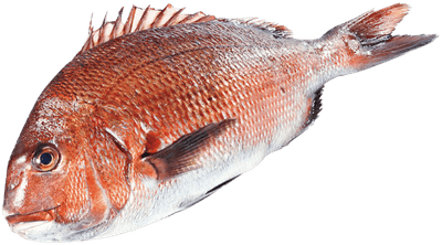 AESMzAOTeu1F1xJNeVo3.png?w=940&h=940