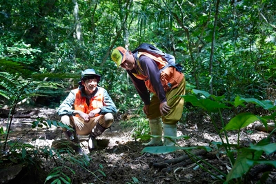 AEToDyjLhvE55thAxqYn.jpg?w=940&h=940