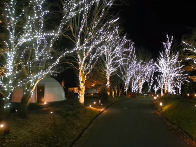 グランピングリゾート ブリリアントヴィレッジ日光　 まもなく開業3周年！4万球のLEDが灯る 「イルミネーションナイト2025」11月29日より点灯開始！