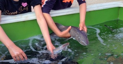 AFfV9zEteP7FeOzyNt46.jpg?w=940&h=940